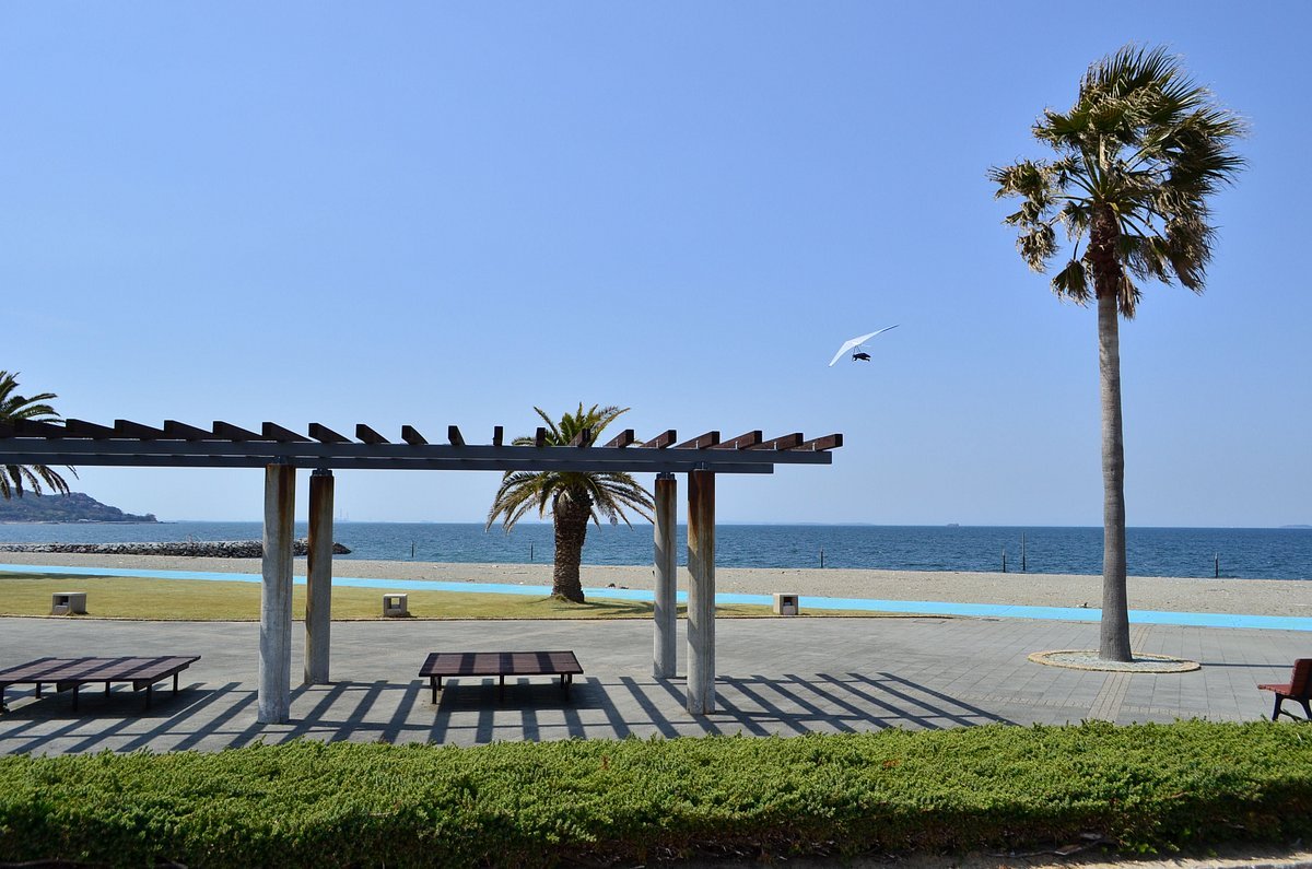 🏞️ 시라야 해변공원(시라야카이힌코엔) 이미지 6